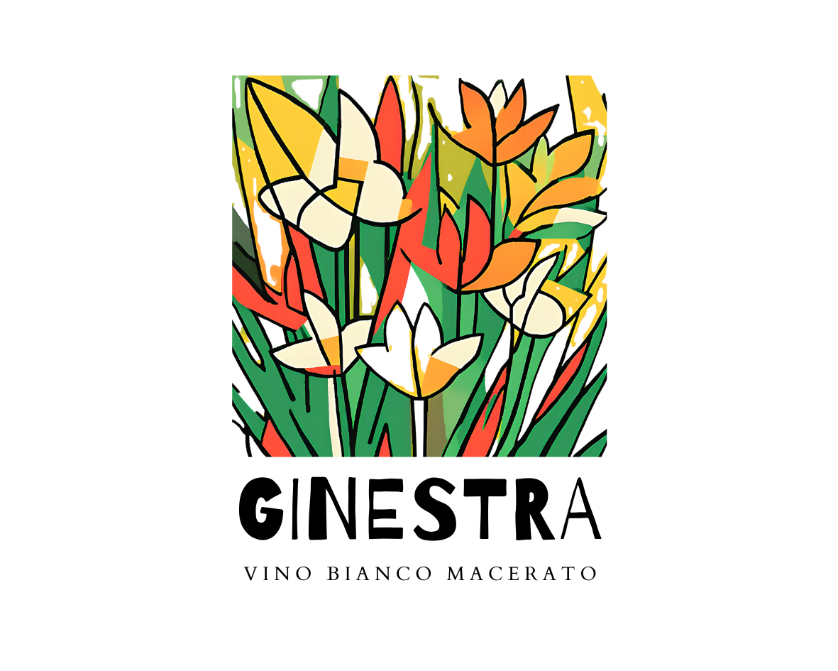 GINESTRA vino orange F